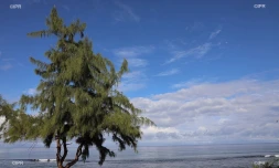 paysages 