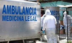 Des médecins légistes viennent chercher le corps d'un patient décédé du coronavirus, le 6 avril 2020 à Guayaquil, en Equateur