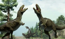 Une photo fournie par le groupe Nature montre les chercheurs Martin Lockley (D) et Ken Cart à genoux devant des traces fossiles datant du Crétacé dans l\'Etat du Colorado où ont vécu des théropodes, un groupe de dinosaures, le 7 janvier 2016