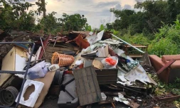 band cochon 16 avril 2021