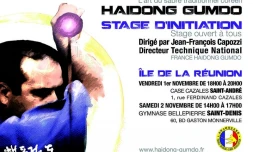 Le sabre coréen en démonstration