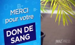 Solidarité