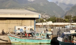 Un batreau de pêche ski lankais accoste au port de la Pointe des Galets