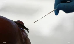 test coronavirus 