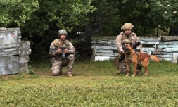 Des maîtres-chiens s’apprêtent à lancer un drone qui guidera Peyo, un berger belge malinois du Commando parachutiste de l’Air 20 (CPA20), à la recherche d’explosifs lors d’une démonstration sur la base aérienne de Vélizy-Villacoublay, le 28 mai 2025 dans les Yvelines ( AFP / Mathieu RABECHAULT )