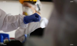 test coronavirus 