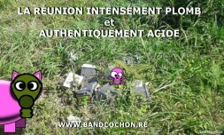 Un nouveau dépôt d\'ordures sauvages découvert par Bandcochons.