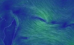 La future Joaninha ne menacera pas La Réunion