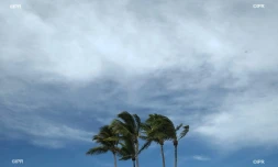 météo réunion 