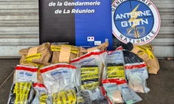 Gendarmerie stupéfiants saisie drogue