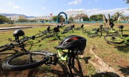 Vélos 