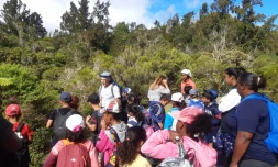 PREN, sortie scolaire parc national de La Réunion