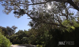 route forestiere du maido 