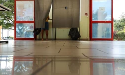 Législatives