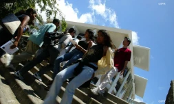 faculté saint-dénis 