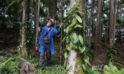 Louis Leichnig vanille