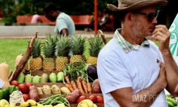 Manifestation des agriculteurs