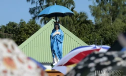 Vierge Parasol