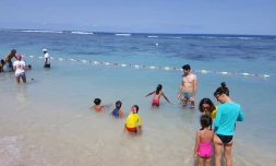 Cours de natation à Saint-Paul