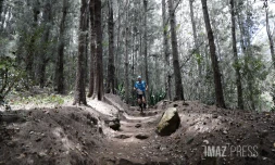 trail illustration 