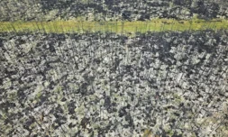 PrĂšs du village de NormĂ©tal dans l'ouest du QuĂ©bec oĂč des milliers d'hectares de forĂȘts ont brĂ»lĂ©, le 22 septembre 2023 ( AFP / Mathiew LEISER )