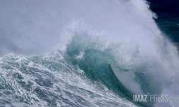 Houle à la darse du Port Ouest