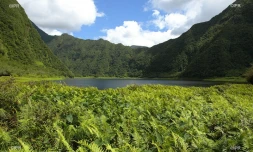 Grand-Etang