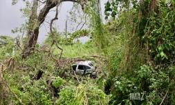 Garance : La Réunion, l'île en phase de sauvegarde