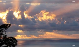 météo réunion 