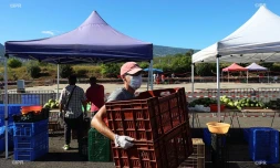 marché forain du port