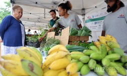 journée sociale de l'économie et solidaire  