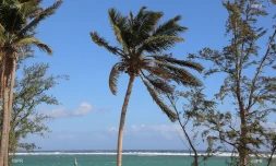 paysages 