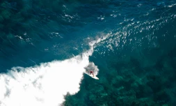 Surf