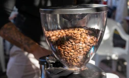 La Région : le Madoi célèbre la fête du Café à Saint-Louis