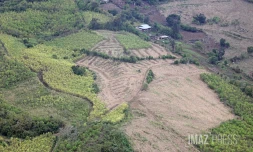 terrain agricole ouest 