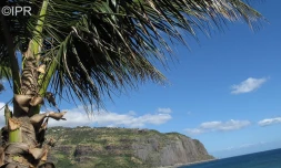 météo Réunion 
