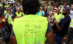 Des gilets jaunes dans le jardin de la Préfectur