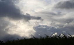 paysages 