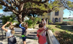 Saint-Paul : des vacances culturelles pour ceux qui ne peuvent pas partir 