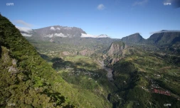 météo réunion 