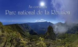 Au coeur du parc national