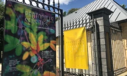 2 nouvelles expositions 
