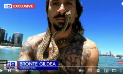 Un surfeur et un python