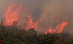Incendies dans le Sud de la France (34)