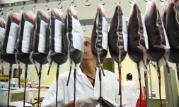 Etablissement français du sang