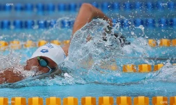 meeting natation 2015