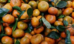 Fruits et légumes