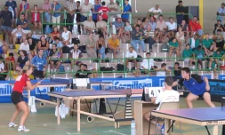 Tennis de table