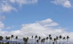 météo Réunion 