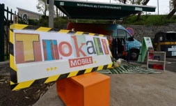 Trokali